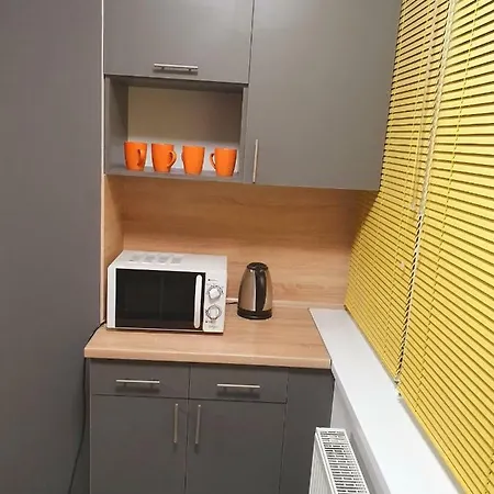 Vip Apartment In The Centre Uschhorod Exterior foto